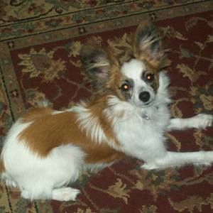 Meet your Posher, Susan